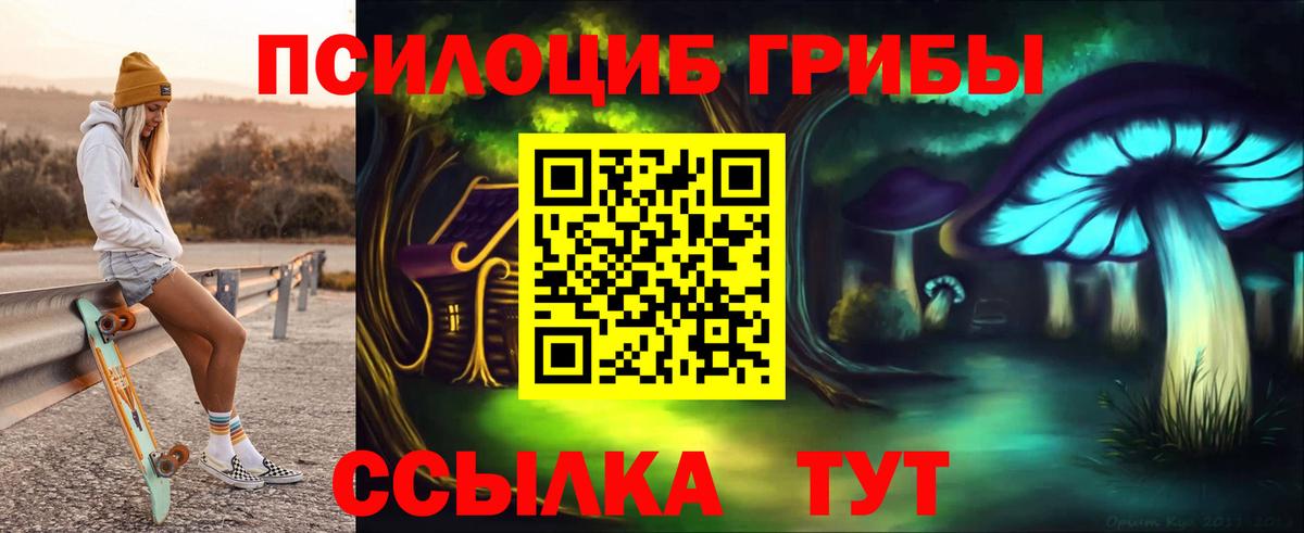 Чита  Псилоцибиновые грибы прущие грибы  Галлюциногенные грибы MAGIC MUSHROOMS  Вход с VPN 